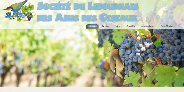 La SLADO, l’histoire d’une association dans les vignobles bordelais